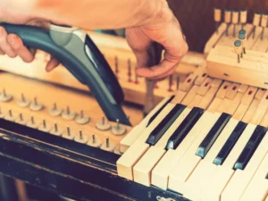 Maintenance and Cleaning Set